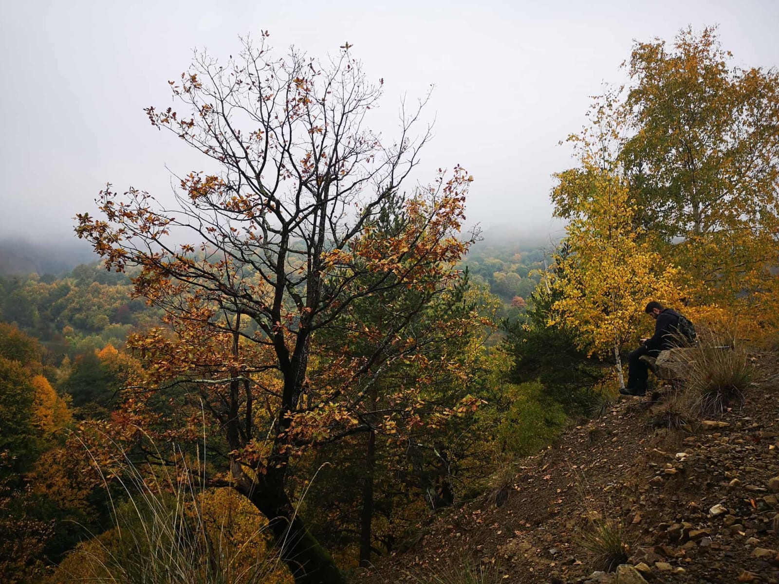 Vizită LIFE Rosalia